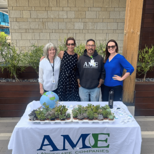 Screenshot 2025-01-09 at 11.31.05 AM